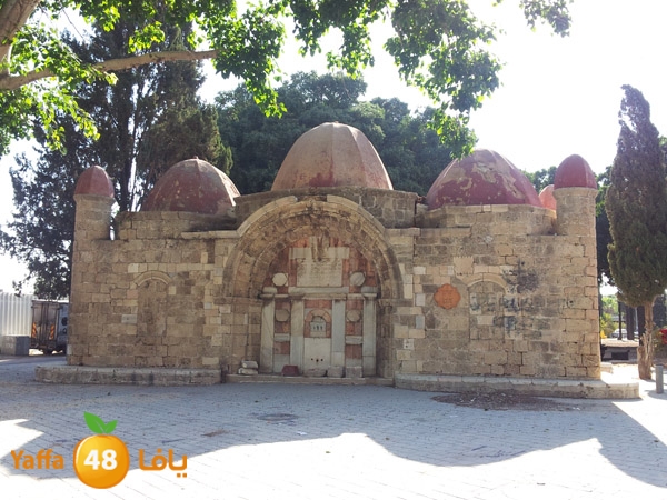 abonaboot923 (1).jpg